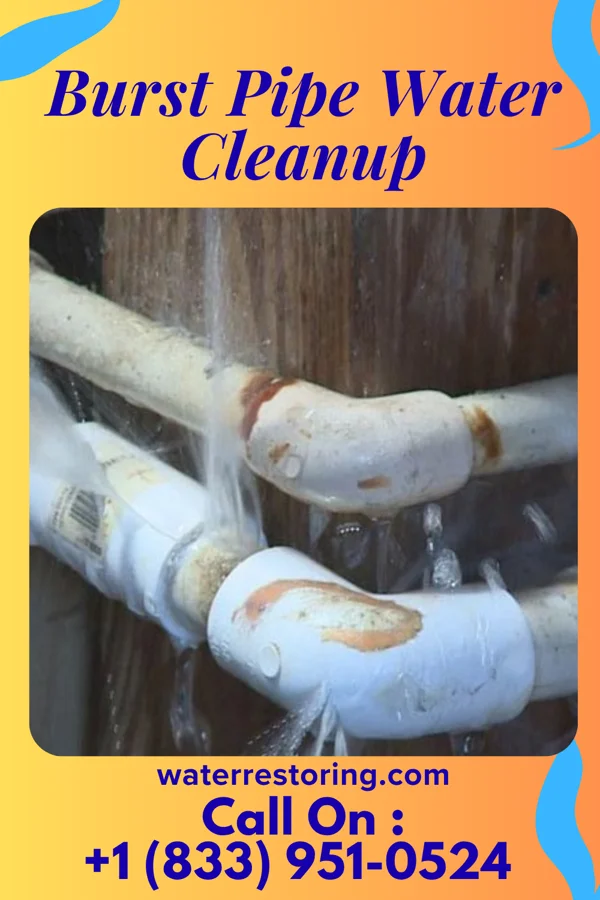 Burst Pipe Water Cleanup in Eatonville, WA