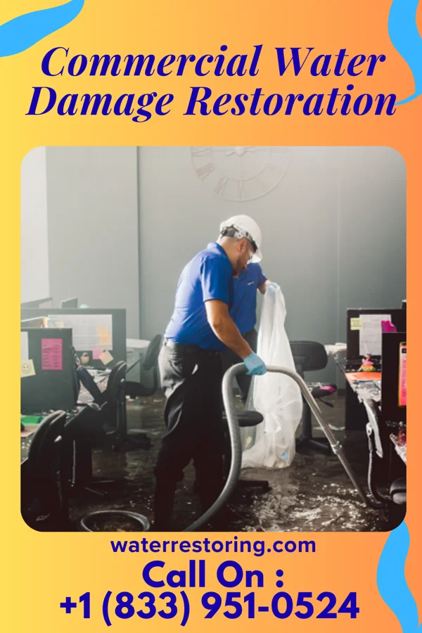 Commercial Water Damage Restoration in Eatonville, WA
