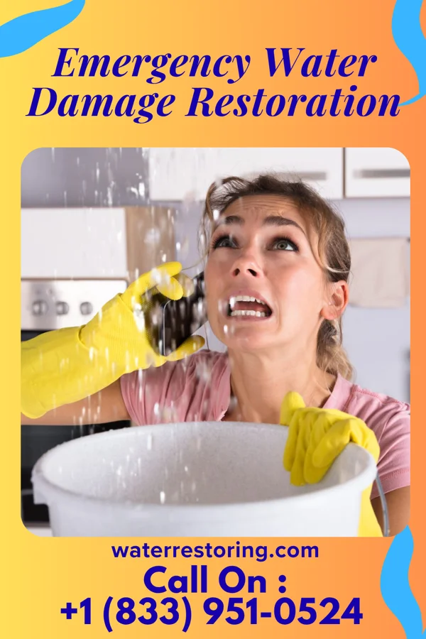 Emergency Water Damage Restoration in Eatonville, WA