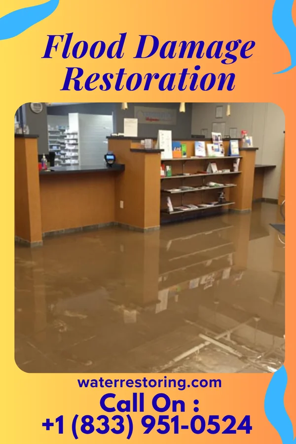 Flood Damage Restoration in Eatonville, WA